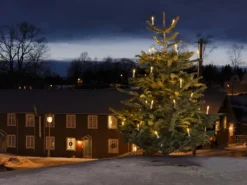 Konstsmide LED Baumkette Topbirnen 45 Warmweiß 24 V