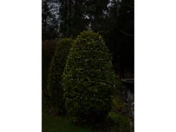 Konstsmide LED-Lichterkette Cluster 600 Dioden für Außen Bunt