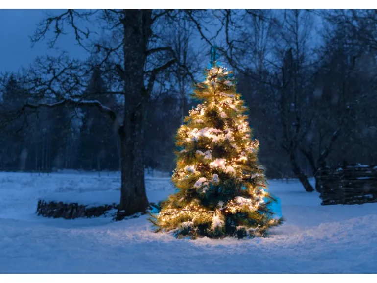 Konstsmide Micro LED Büschellichterkette 1536 bernsteinf. LEDs innen und außen