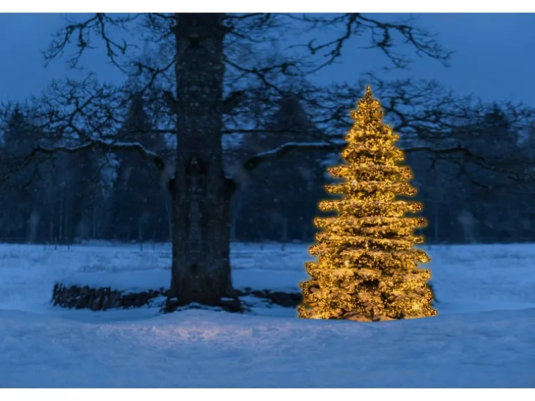 Konstsmide Micro LED Lichterkette Cluster 1152 bernsteinf. LEDs innen und außen