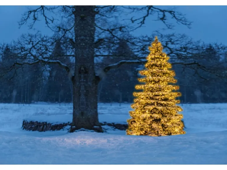 Konstsmide Micro LED Lichterkette Cluster 768 bernsteinf LEDs innen und außen