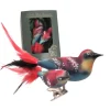 Krebs Glas Lauscha Baumschmuck Doppelvogel Bienenfresser Mehrfarbig 9cm