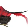 Krebs Glas Lauscha Weihnachtsornament Vogel im Nest Rot 1-tlg. 9cm