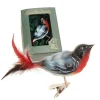 Krebs Glas Lauscha Weihnachtsornament Vogel Dompfaff 1-tlg. 5cm