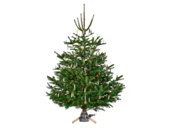 Krinner Christbaumständer Aarhus 36 cm x 36 cm x 21 cm