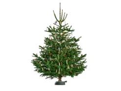 Krinner Christbaumständer X-320 Deluxe Ø 39 cm x 11,5