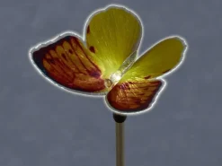 LED-Solarspieß Sagli Gelb