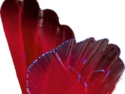 LED-Solarspieß Usini mit Kolibri Rot