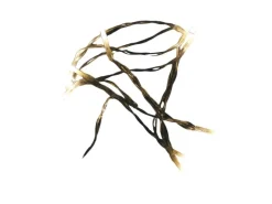 Lex 10er Batterie-Lichterkette Weihnachtsdeko Warmweiß Beleuchtung Partylichterkette