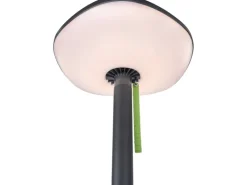 Lutec LED-Solar-Außenstehleuchte Poppy Anthrazit-Grün 190 x 47,5 x 45,5 cm