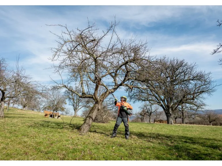 metabo Hochentaster-Aufsatz MA-MS 25