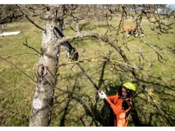 metabo Hochentaster-Aufsatz MA-MS 25