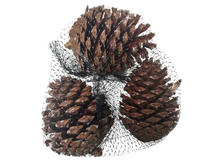 Mica Decorations Kieferzapfen Basteldekoration 220 g Hellbraun