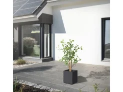 ML-Design Künstliche Eukalyptus 120cm Groß Kunstpflanze Naturholzstamm