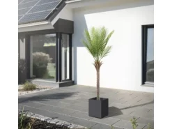 ML-Design Künstliche Palme 180 cm Groß Tropische Kunstpalme im Topf