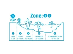 Molchschwanz Weiß Topf-Ø ca. 9 cm Houttuynia cordata