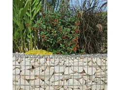 Niederberg Metall Gabione 100 x 50 x 30 cm