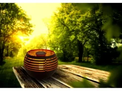 Näve LED Deko Solar Tischleuchte 16 cm Lichtfarbe Warmweiß mit Flammeneffekt