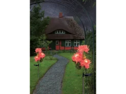 Näve LED-Solar-Erdspieß Blume 79 cm Rose
