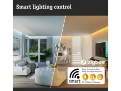 Paulmann LED Gartenspot Plug & Shine Shira Zigbee 3.0 IP65 RGBW+ 6,5 W Anthrazit