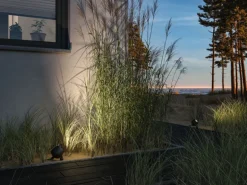 Paulmann LED-Gartenspot Plug & Shine Kikolo Zigbee 3.0 RGBW+ 660 lm Anthrazit