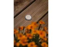 Paulmann LED-Outdoor-Bodeneinbaustrahler Deko rund 230 V Insektenfreundlich