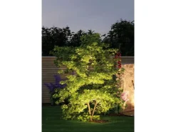 Paulmann Plug&Shine Starter-Set 3 LED-Erdspieße Sting IP67 Warmweiß