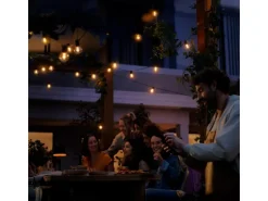 Philips Hue Outdoor-Lichterkette Festavia Globe 7 m