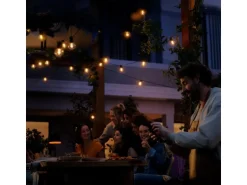 Philips Hue Smart-Outdoor-LED-Lichterkette Festavia Globe 20 Lampen 14 m