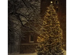 Satisfire Illu- Partylichterkette 20m Schwarz Terrasse Garten 20 Ultra-Warmweiße LED Kugeln