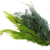 Schnittgrün Koniferen Mischgrün 700 - 900 g Bund