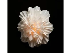 Sterntaler Dekostern Weihnachtsstern Papier Faltstern Innen Glühbirne Netzstecker Weiß 1