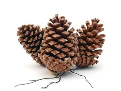 Tannenzapfen am Draht 10-14 cm Natur