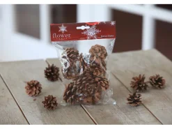 Tannenzapfen Natur 9 Stück