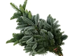 Tannenzweige Edeltanne 500 - 600 g Bund Nobilis