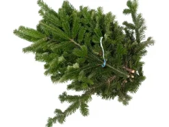 Tannenzweige Nordmanntanne 2,5 kg Bund