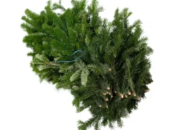 Tannenzweige Nordmanntanne 5 kg Bund