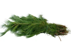 Tannenzweige Seidenkiefer 2,5 kg Bund