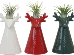 Tillandsia-Arrangement im Rentier Keramik-Gefäß Mix Topf-Ø ca. 6 cm