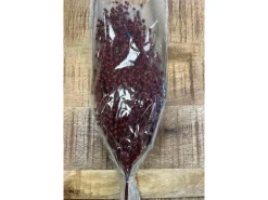 Trockenblumen Linum Dried Flowers 50 g Rot