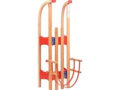 vidaXL Klappschlitten mit Rückenlehne 119 cm Holz