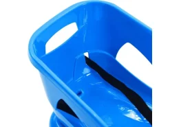 vidaXL Schlitten mit Lehne Blau 102,5x40x23 cm Polypropylen