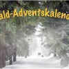 Wald-Adventskalender