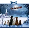 Wandkalender - Wunderbare Hunde-Weihnacht