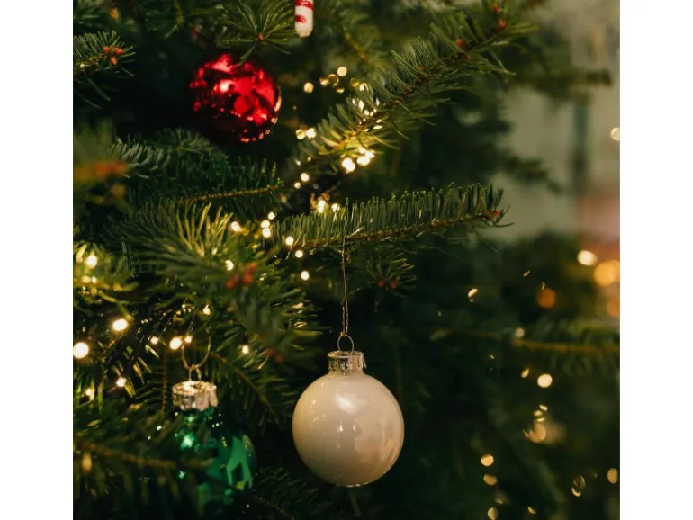 Weihnachtsbaum Echte Nordmanntanne 125 - 150 cm hoch gesägt