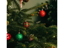 Weihnachtsbaum Echte Nordmanntanne 125 - 150 cm hoch gesägt