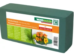 Windhager Steckschaum Nass 22,5 cm x 10,5 cm x 6,5 cm