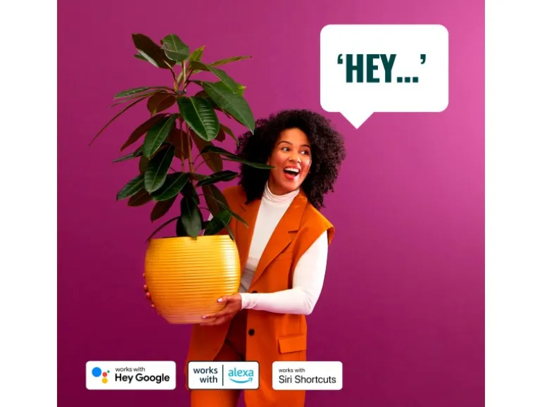 WiZ LED-Lichterkette Fairy Light Color 20 m Schwarz