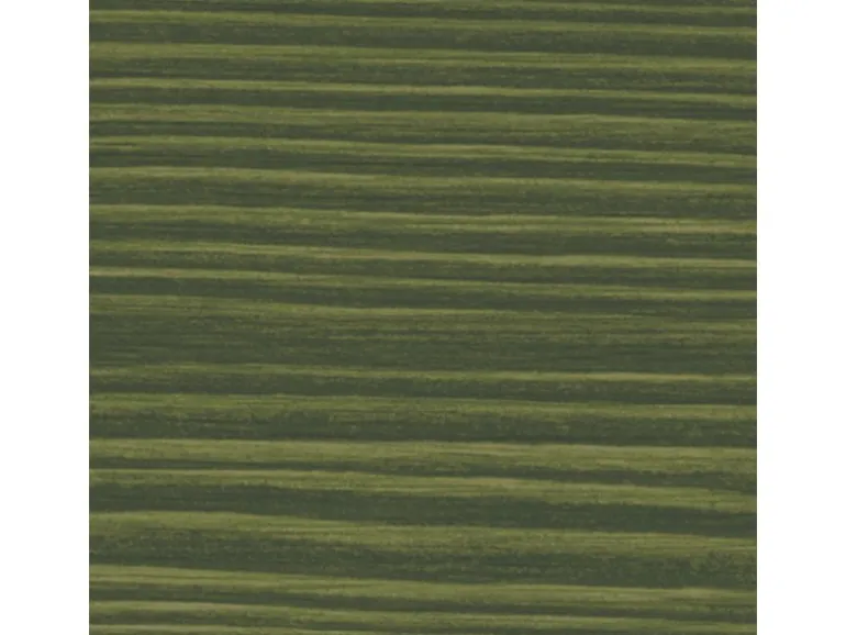 Xyladecor Holzschutz-Lasur 2in1 Tannengrün matt 4 l